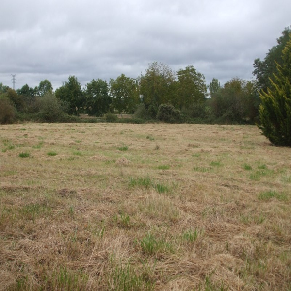 Offres de vente Terrain Sury-près-Léré 18240