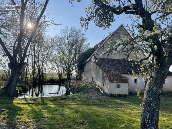 Offres de vente Maison Beaulieu-sur-Loire 45630