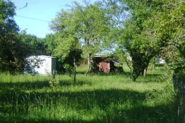 Offres de vente Terrain à batir Ouzouer-sur-Trézée 45250