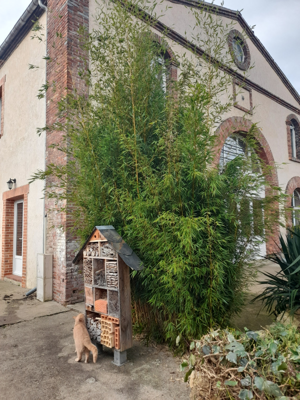 Offres de vente Maison Neuvy-sur-Loire 58450