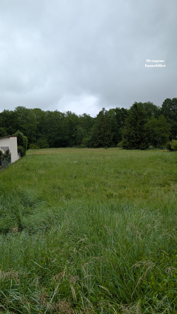Offres de vente Terrain à batir Neuvy-sur-Loire 58450